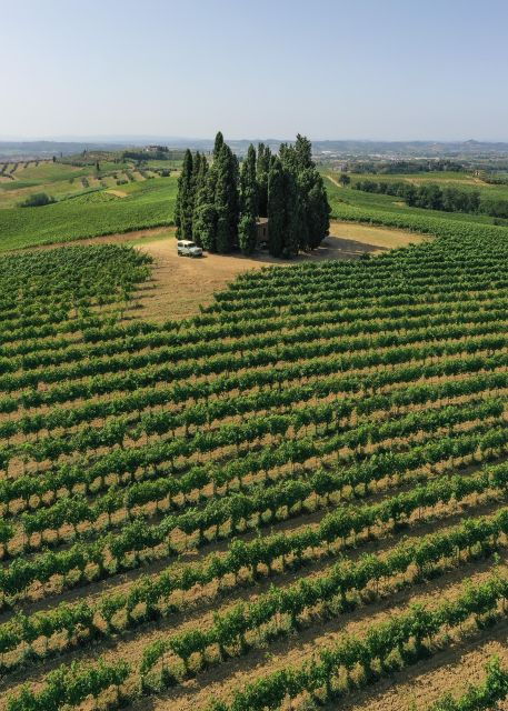 Vinci: Wine-Experience Among the Tuscan Hills - Good To Know
