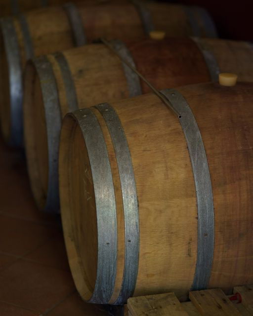 Vinci: Wine-Experience Among the Tuscan Hills - Activity Highlights