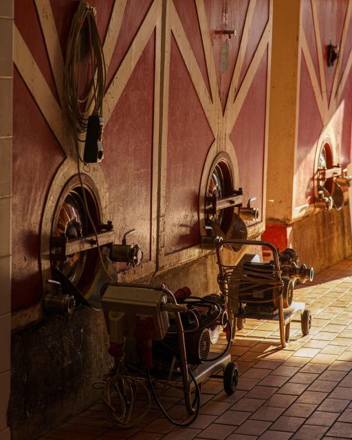 Vinci: Wine-Experience Among the Tuscan Hills - Full Description