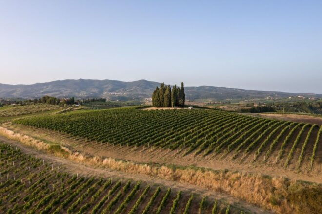 Vinci: Wine-Experience Among the Tuscan Hills - Directions
