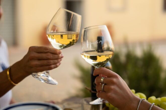 Vinci: Wine-Experience Among the Tuscan Hills - The Sum Up