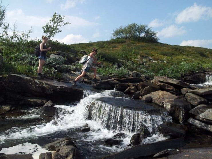 Vindelfjäll Nature Reserve: A Walk Through Reindeer Country - Pricing and Booking Information