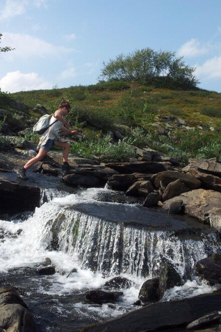Vindelfjäll Nature Reserve: A Walk Through Reindeer Country - Detailed Itinerary and Route