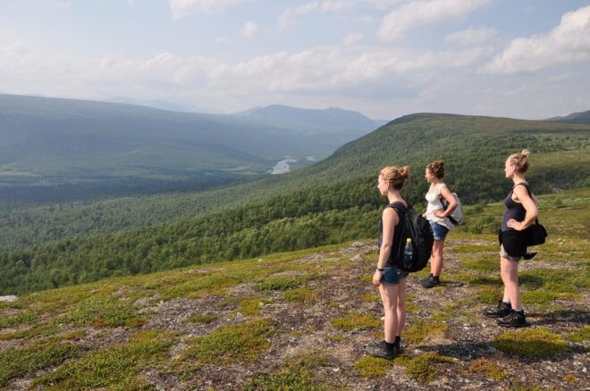 Vindelfjäll Nature Reserve: A Walk Through Reindeer Country - Group Size and Guide Details