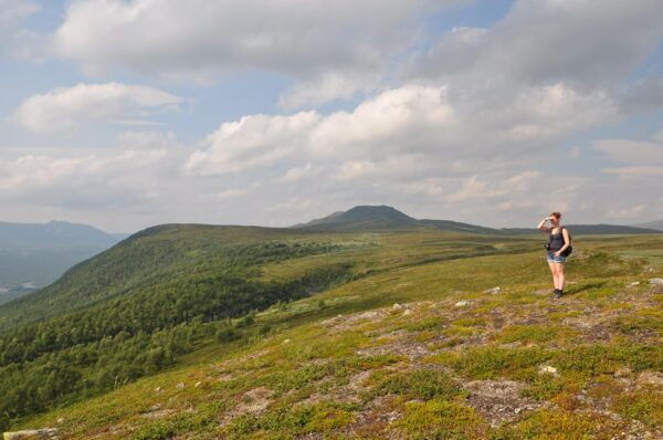 Vindelfjäll Nature Reserve: A Walk Through Reindeer Country - Participant Requirements and Recommendations
