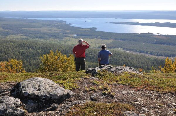 Vindelfjäll Nature Reserve: A Walk Through Reindeer Country - What to Expect in Reindeer Country