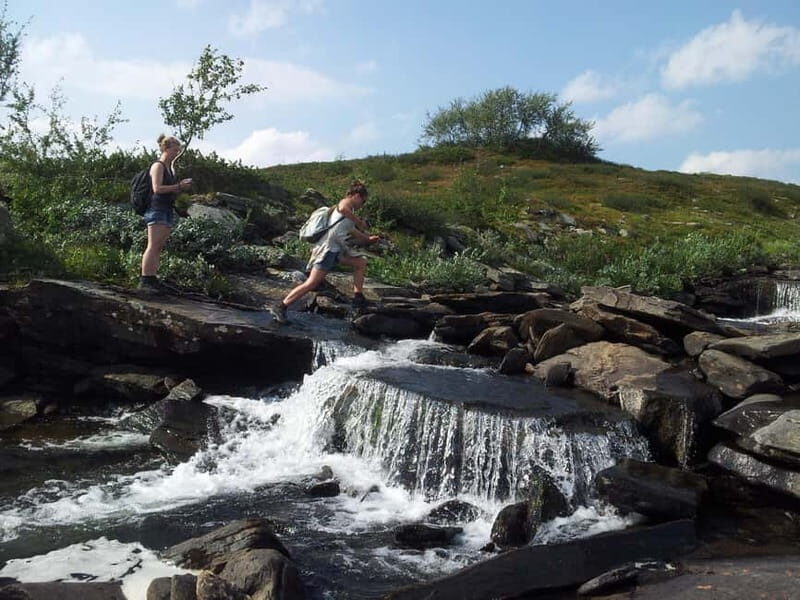 Vindelfjäll nature reserve: A walk through reindeer country - Good To Know