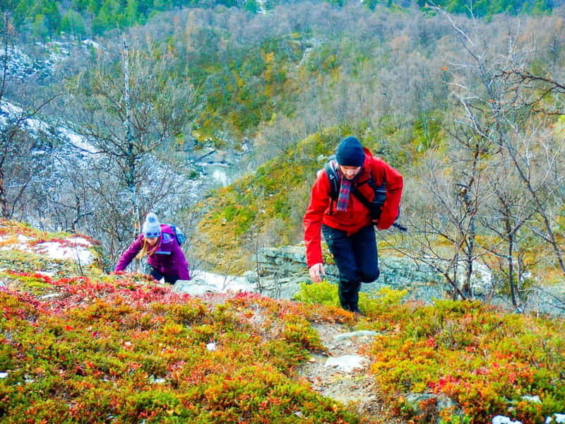 Vindelfjäll nature reserve: A walk through reindeer country - Who Should Consider This Tour