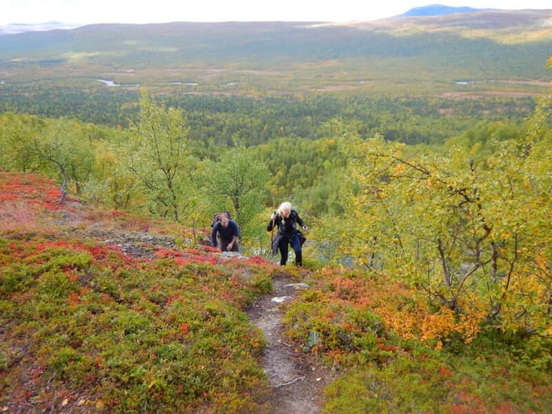 Vindelfjäll nature reserve: A walk through reindeer country - The Sum Up