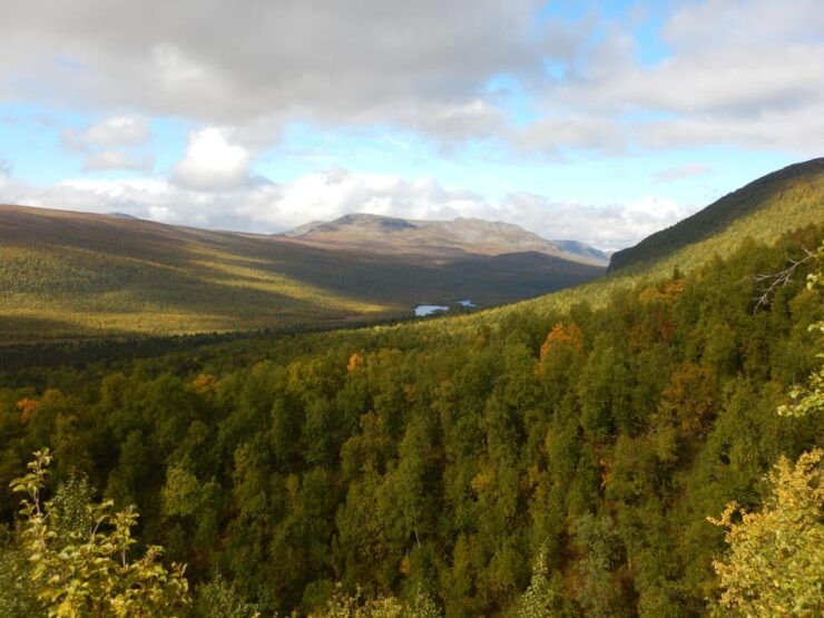 Vindelfjäll Nature Reserve: a Walk Through Reindeer Country - Hiking Through Subarctic Terrain