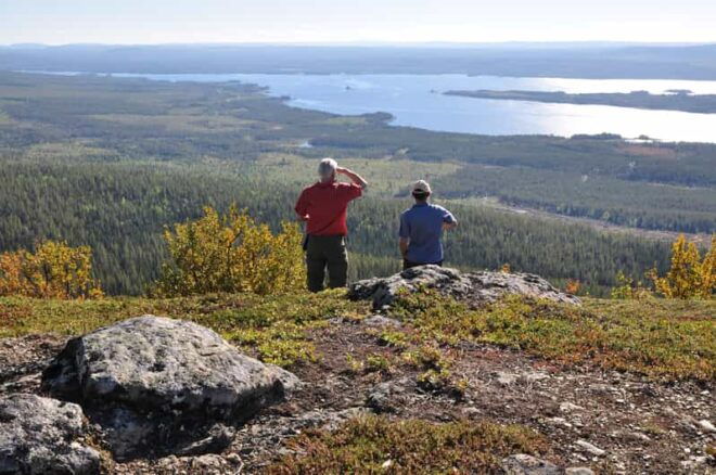 Vindelfjäll Nature Reserve: a Walk Through Reindeer Country - Highlights of the Route