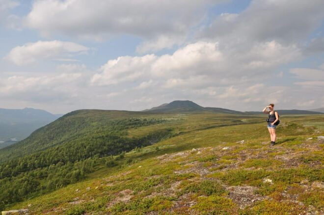 Vindelfjäll Nature Reserve: a Walk Through Reindeer Country - Terrain and Key Sights