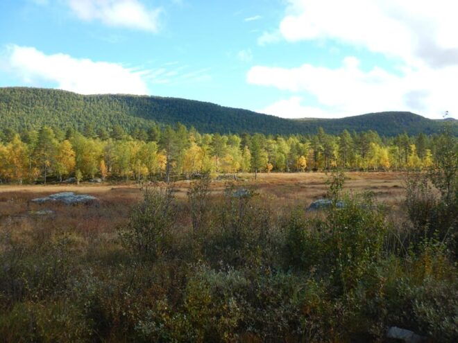Vindelfjäll Nature Reserve: a Walk Through Reindeer Country - Itinerary and Route Details