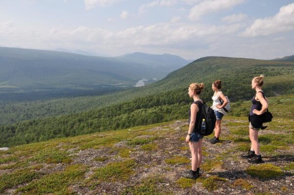Vindelfjäll Nature Reserve: a Walk Through Reindeer Country - Participant Restrictions and Requirements