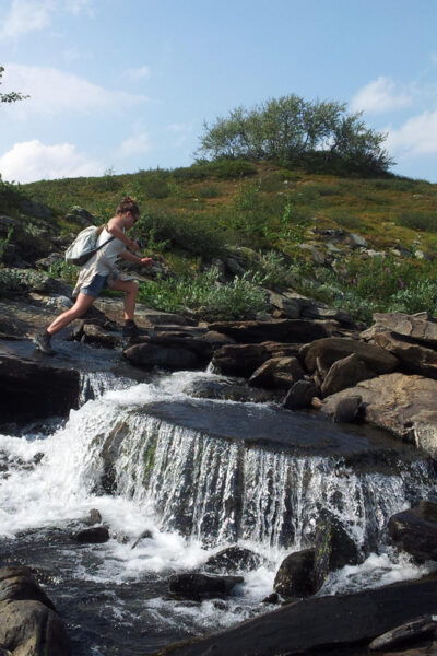 Vindelfjäll Nature Reserve: a Walk Through Reindeer Country - Booking and Cancellation Information