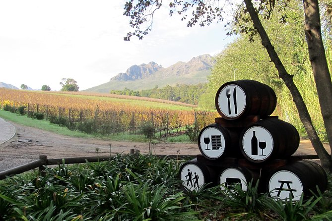 Vine Hopper: Hop-On Hop-Off Wine Tour - Southern Route - Wine Tasting Experience