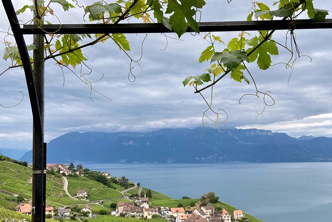 Vine Stories: Lavaux & Lutry Wine Walk - Overview and Experience