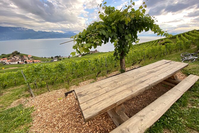 Vine Stories: Lavaux & Lutry Wine Walk - Start and End Time