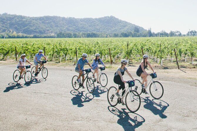 Vine Trail Discovery E-Bike Tour - Exploring the Itinerary in Detail