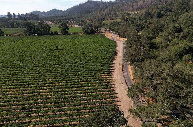 Vine Trail Discovery E-Bike Tour - Final Thoughts