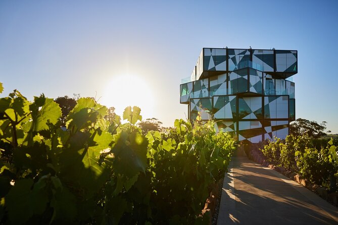 Vines and Victor Eco Adventure - Common Questions