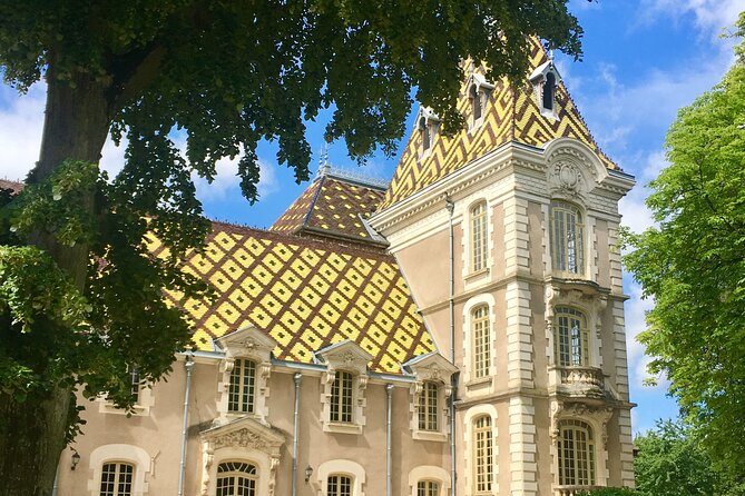 Vineyard and Wine Experience - Discovery 2h - Reviews
