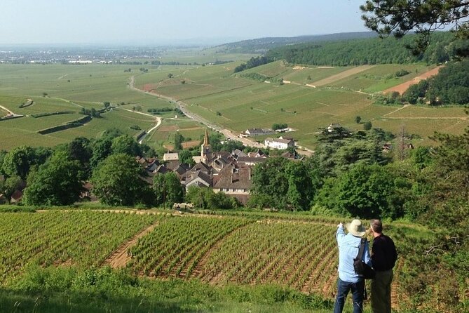 Vineyard and Wine Experience - Discovery 2h - The Sum Up