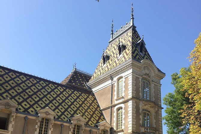 Vineyard and Wine Experience - Expert 3h - Tasting the Finest Burgundy Wines