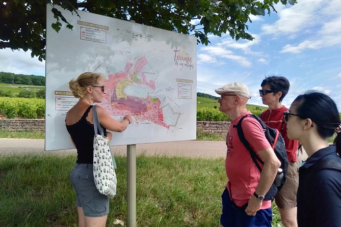 Vineyard and Wine Experience - Expert 3h - Enhance Your Wine Knowledge and Experience