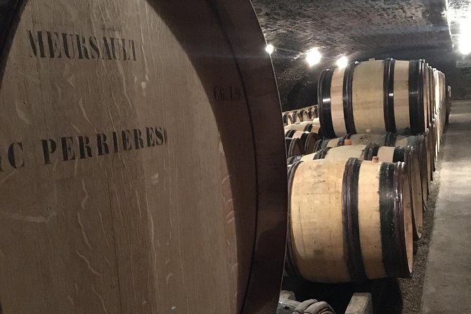 Vineyard and Wine Experience - Expert 3h - The Sum Up