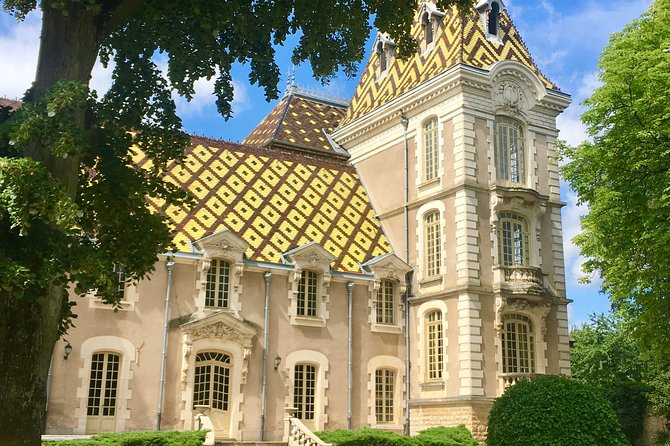 Vineyard and Wine Experience - Family 2h - Vineyard Overview