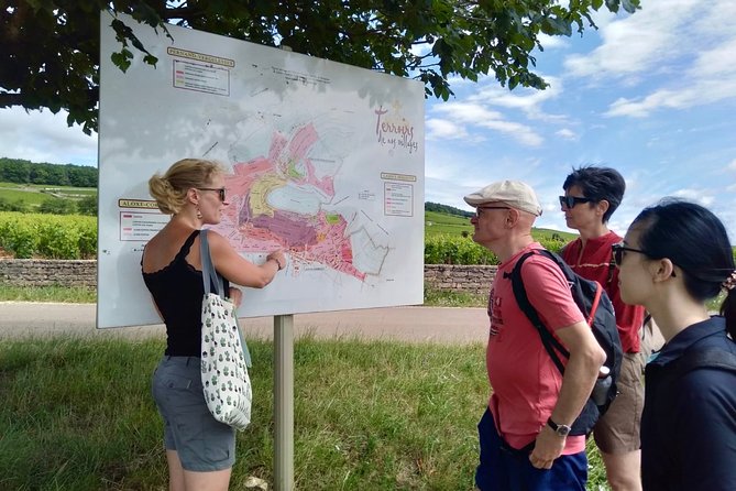 Vineyard and Wine Experience - Family 2h - Pricing and Additional Fees