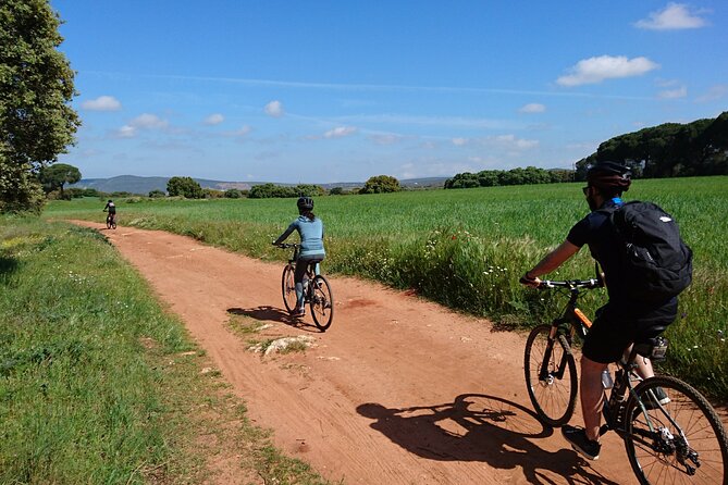 Vineyard & Bodega Bike Ride: Ronda  - Malaga - Additional Information