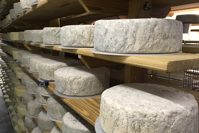 Vineyard & Cheesemaker Bus Tour of Sussex - Minimum Travelers