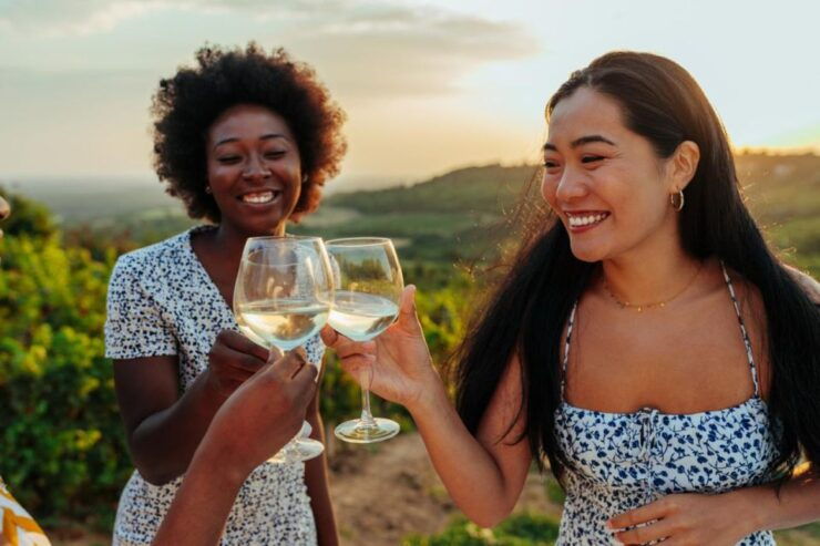 Vineyard Elegance: A Mendoza Wine Odyssey - Good To Know