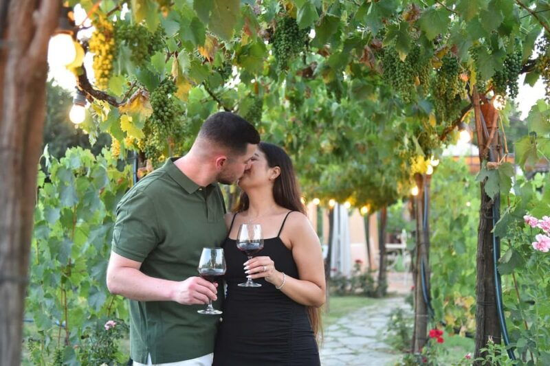 Vineyard Escape, Walk, Lunch and Wine Tasting - Vineyard Escape, Walk, Lunch and Wine Tasting: A Taste of Tuscany’s Best