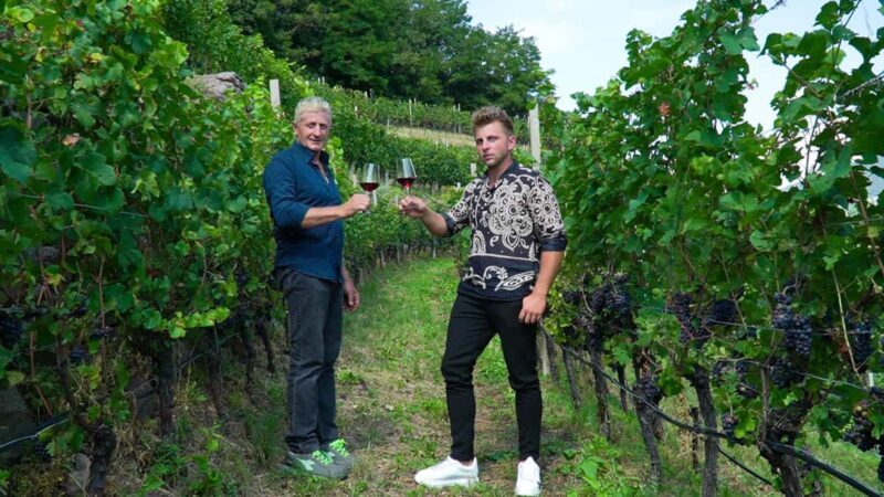 vineyard experience - Vineyard Experience in Trentino-South Tyrol: A Practical Guide