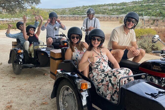 Vineyard Rides San Luis Obispo Sidecar Wine Adventure - The Experience: What to Expect from Start to Finish