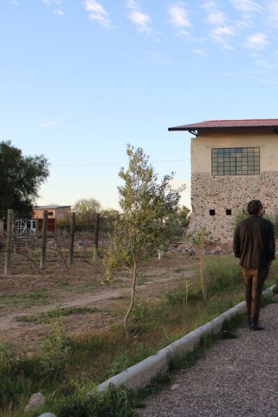 VINEYARD TOUR - Frequently Asked Questions