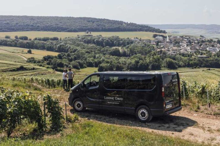 Vineyard Tour and Tasting With Champagne Ludovic David - Key Points
