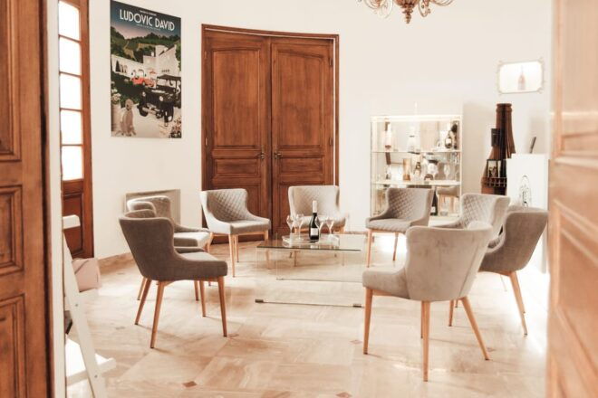 Vineyard Tour and Tasting With Champagne Ludovic David - Experience Highlights