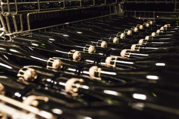 Vineyard Tour and Tasting With Champagne Ludovic David - Itinerary Breakdown