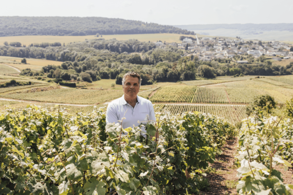 Vineyard Tour and Tasting With Champagne Ludovic David - Questions You May Have