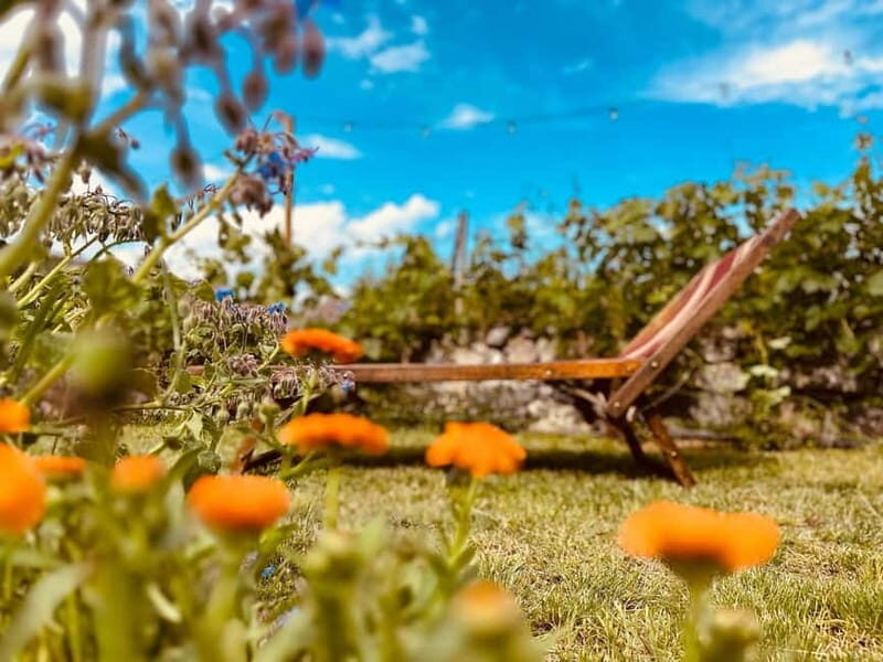 Vineyard Tour and Wine Tasting - Discovering Liguria’s Hidden Gem: The Vineyard Tour and Wine Tasting Experience