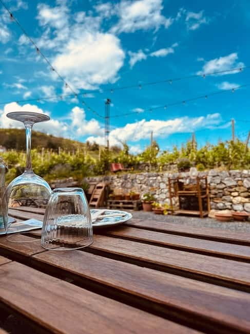 Vineyard Tour and Wine Tasting - Final Thoughts