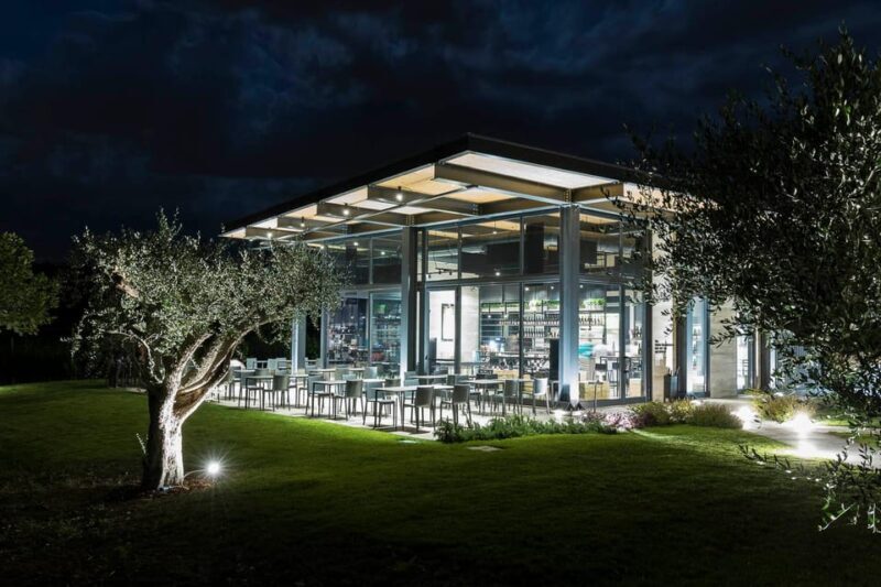 Vineyard Tour and Winery Visit with Tasting of Wines of Romagna - Frequently Asked Questions