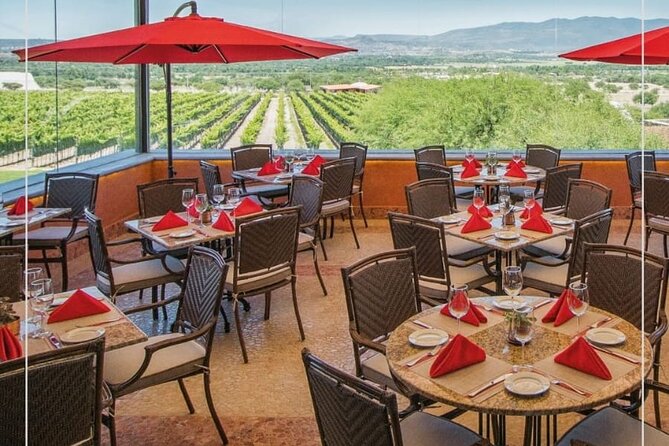 Vineyard, Tour, Tasting and Fun in San Miguel De Allende - Wine Tour Details