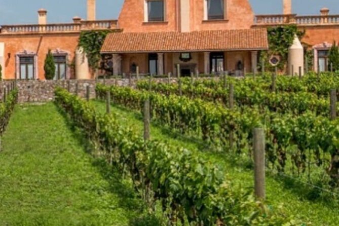 Vineyard, Tour, Tasting and Fun in San Miguel De Allende - Tasting Experience and Wine Selection