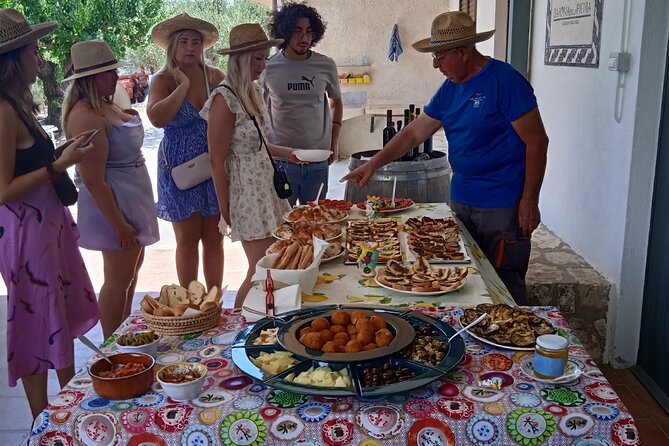Vineyard Tour, Wine and Sicilian Delicacies Tasting at a Winery in Agrigento - Experience Details