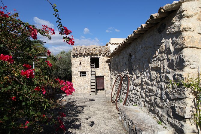 Vineyard Tour, Wine and Sicilian Delicacies Tasting at a Winery in Agrigento - Tour Highlights